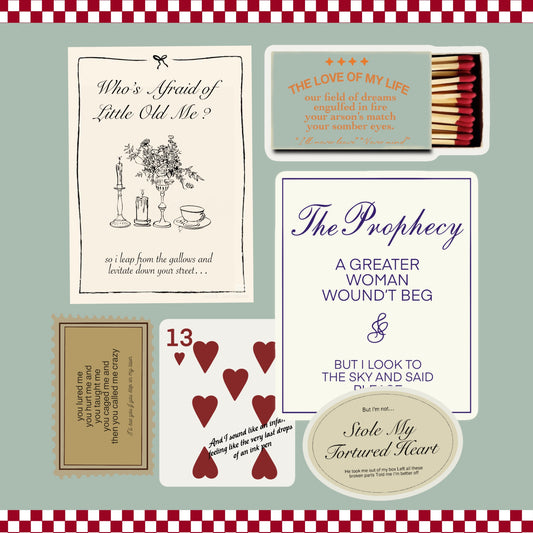 French Vintage TS  Inspired Stickers Kindle Decal & Insert